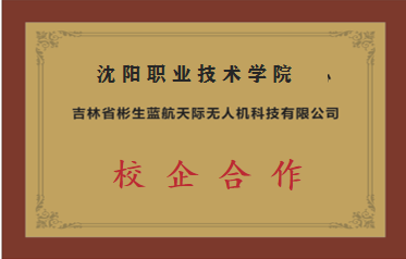 沈阳职业技术学院 校企合作
